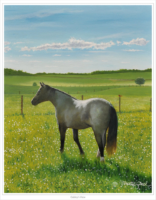 "Oakley's View" 11 x 14 (image area) Signed and Numbered Art Print